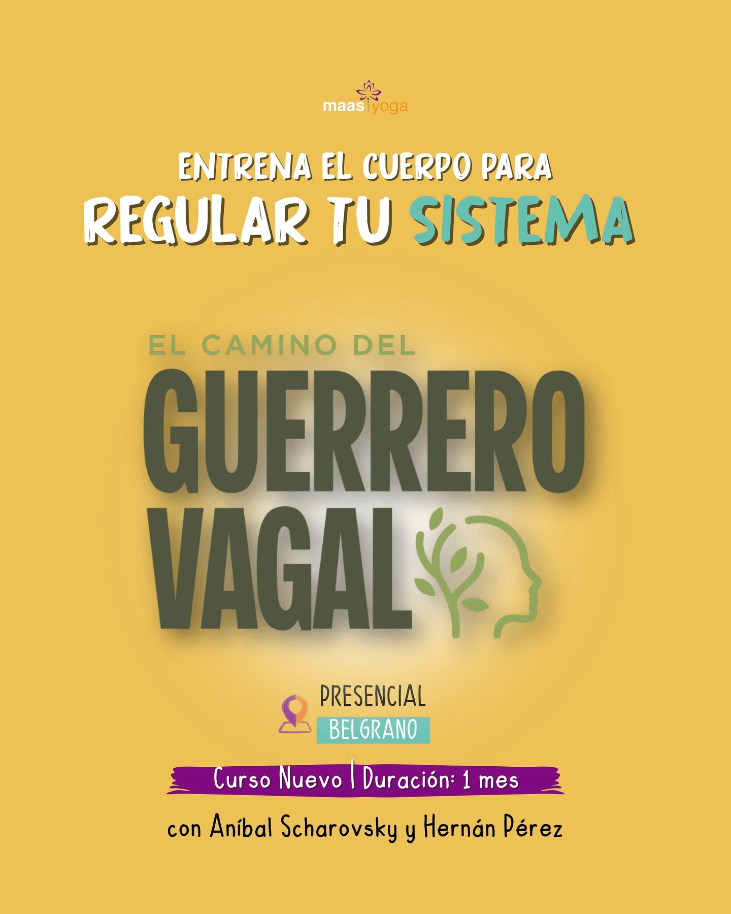 Guerrero vagal